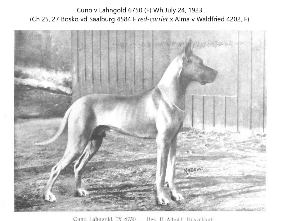 Cuno Lahngold